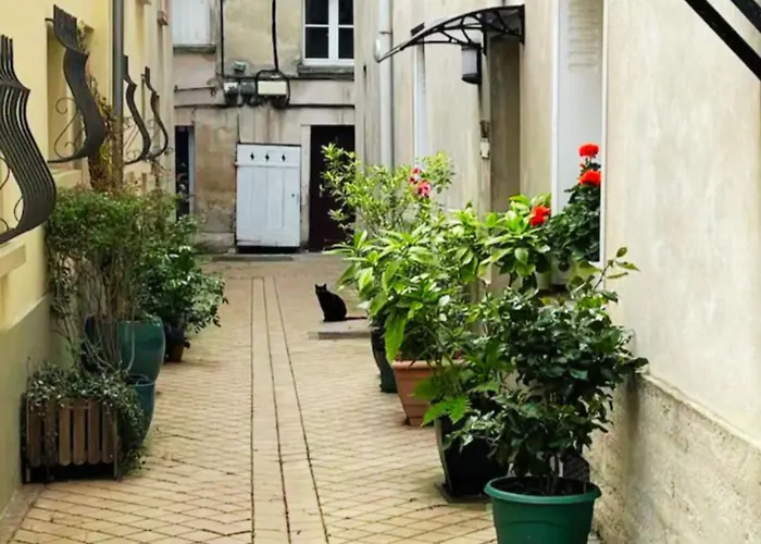 Apartament Le Roy Soleil Classe 3 Etoiles Cosy & Coeur Du Quartier Saint-louis *